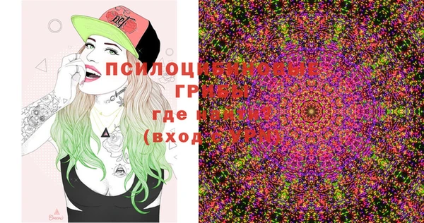 стафф Зерноград