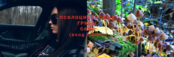 стафф Зерноград