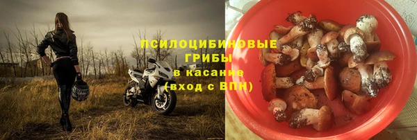 стафф Зерноград