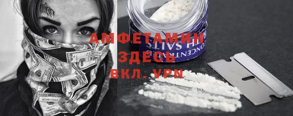 стафф Зерноград