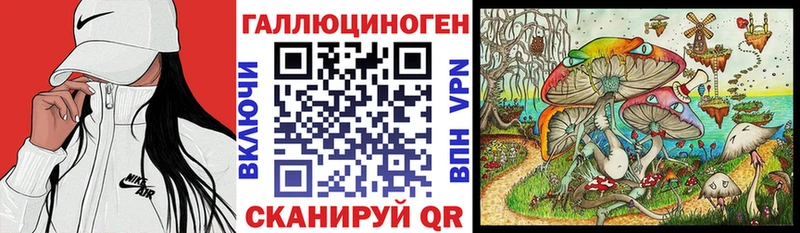 Купить где  Городовиковск  Галлюциногенные грибы GOLDEN TEACHER 